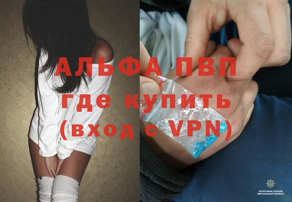 соль ск Шадринск