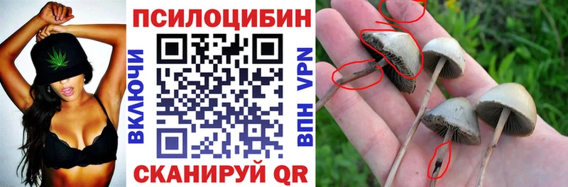 Псилоцибиновые грибы прущие грибы  Почеп 